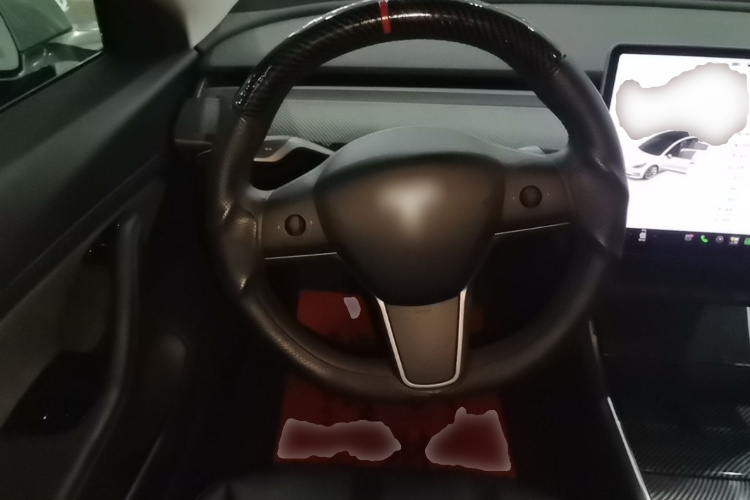 Tesla Model 3 2020 car image #11