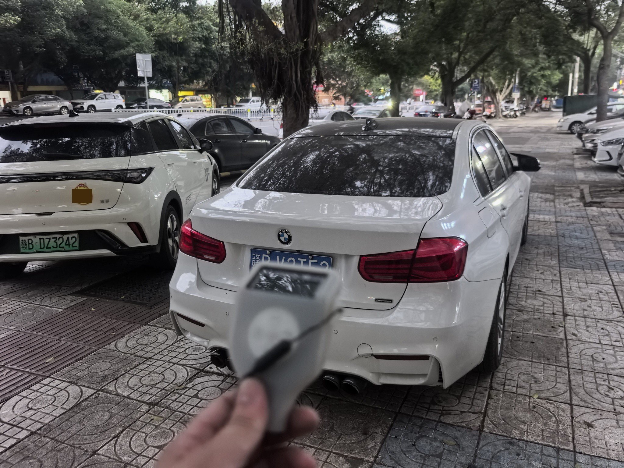 BMW 3 Series 2016 #6 BMW 3 Series 2016 immagine di auto #6