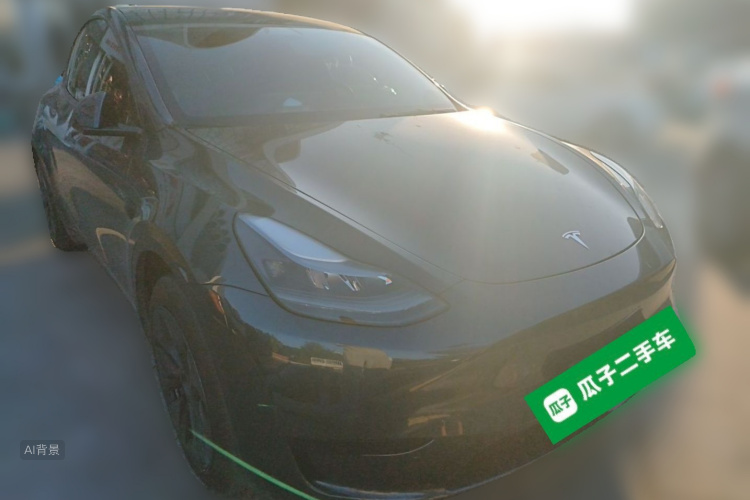 Tesla Model Y 2025 car image #4