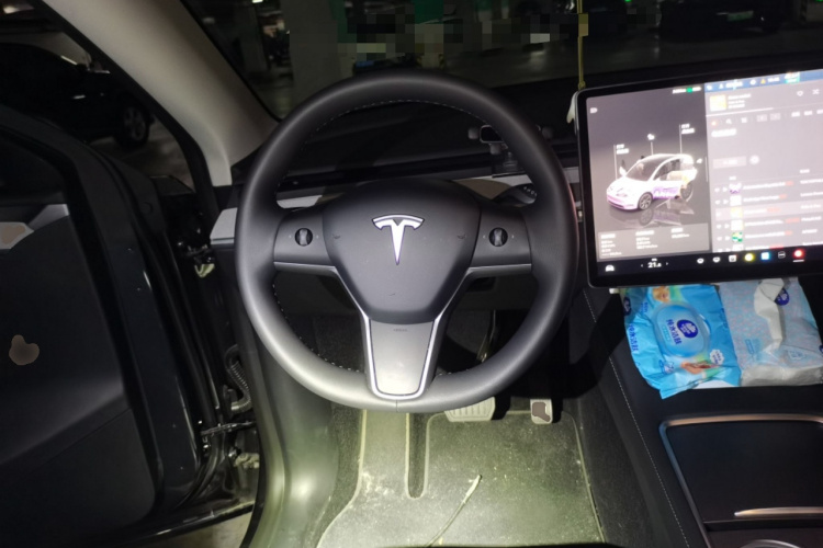 Tesla Model Y 2025 صورة سيارة #11