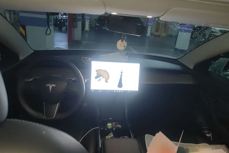 Tesla Model 3 2020 #7 Tesla Model 3 2020 car image #7