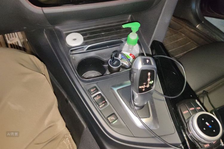 BMW 3 Series 2018 car image #16