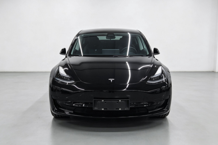 Tesla Model 3 2023 #3 Tesla Model 3 2023 car image #3