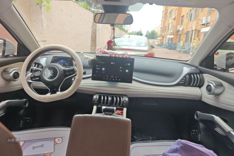 BYD Yuan Plus 2024 car image #11