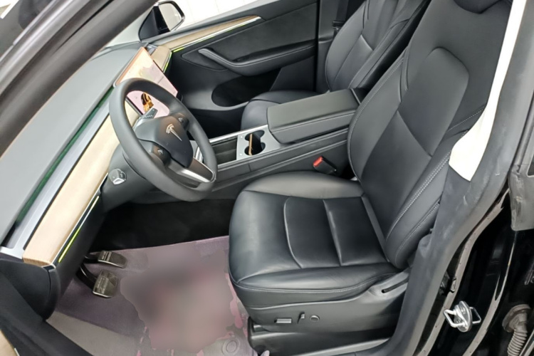 Tesla Model Y 2021 car image #19