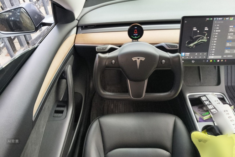 Tesla Model 3 2021 car image #12