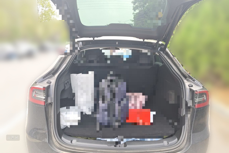 Tesla Model Y 2023 car image #21