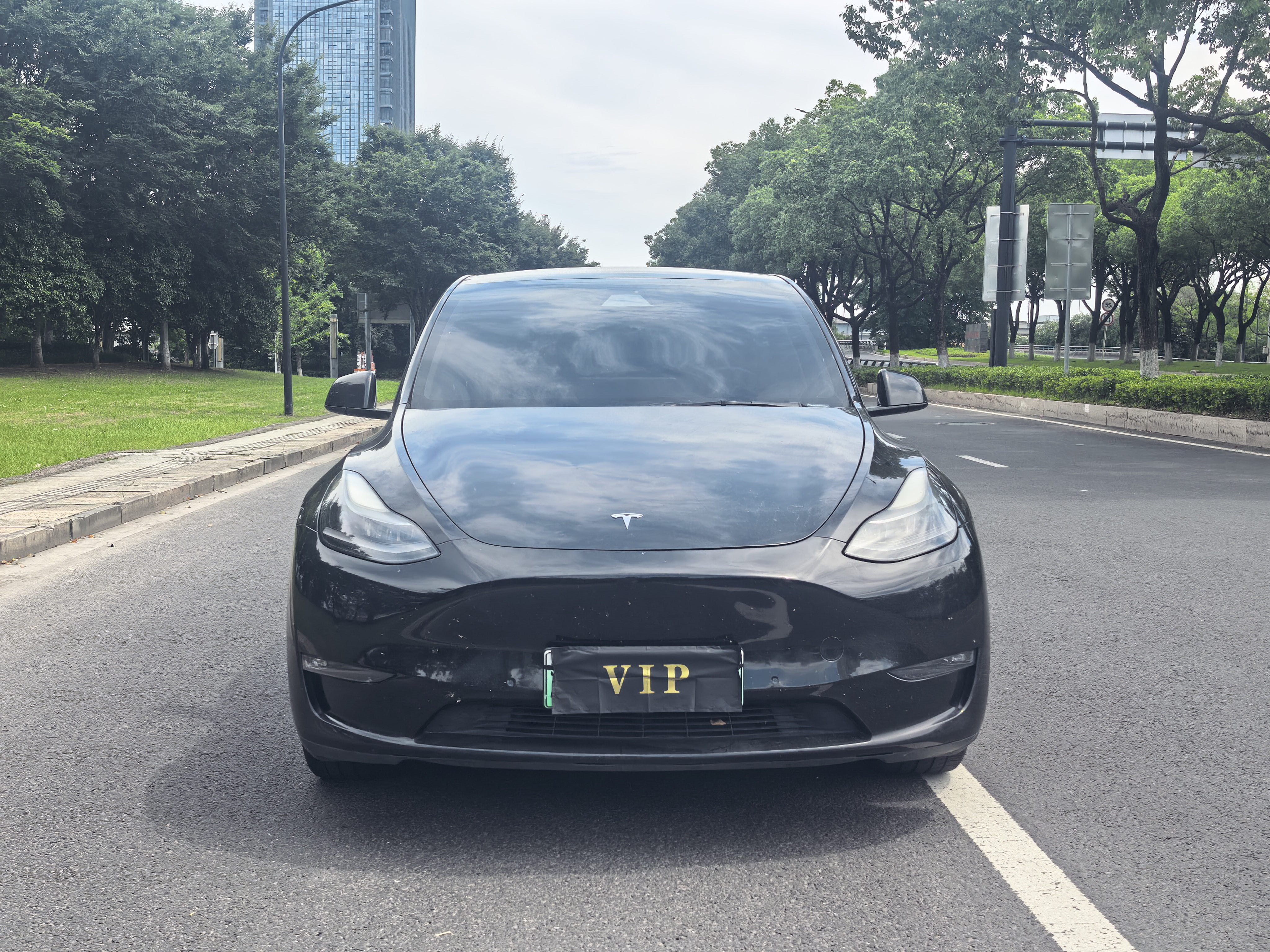 Tesla Model Y 2021 car image 