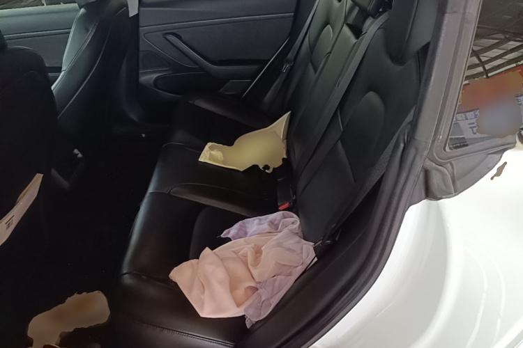 Tesla Model 3 2019 imagem de carro #13
