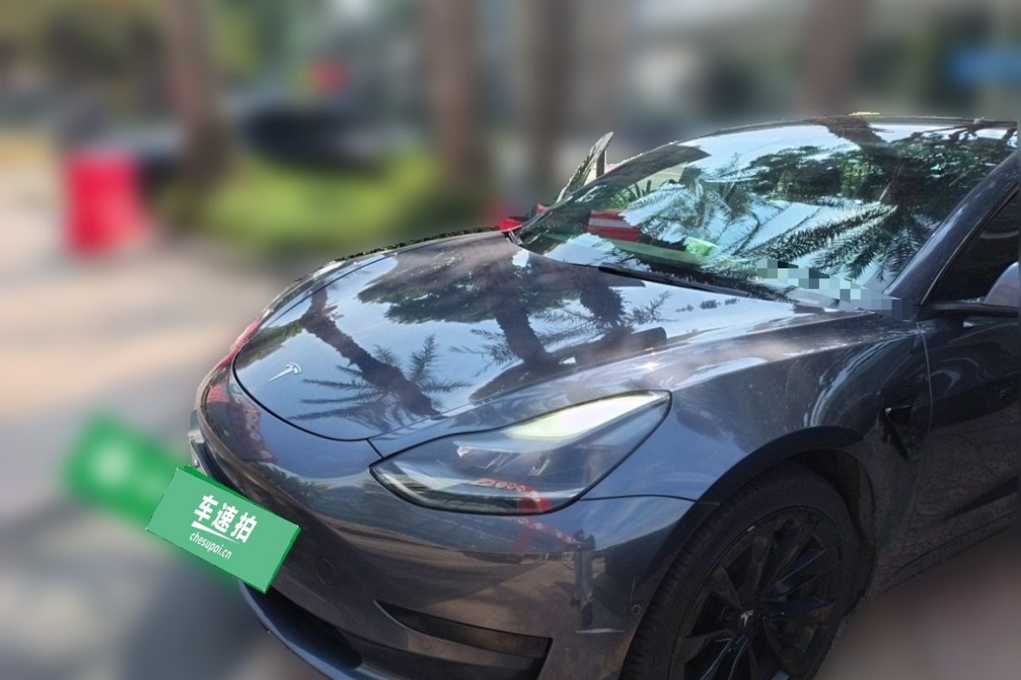Tesla Model 3 2021 Tesla Model 3 2021 immagine di auto