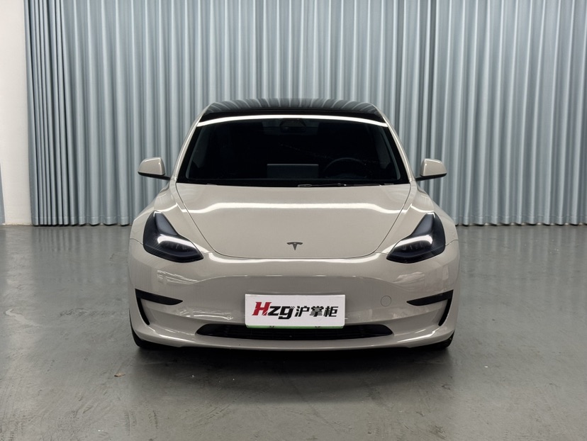 Tesla Model 3 2021 #2 Tesla Model 3 2021 car image #2