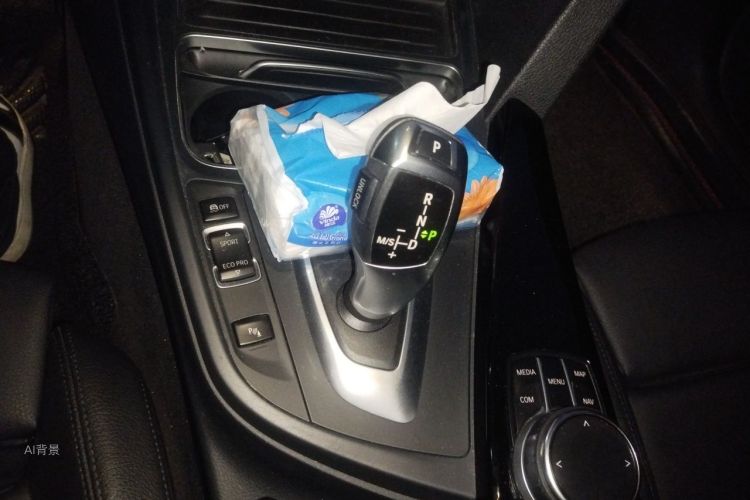 BMW 3 Series 2019 car image #16