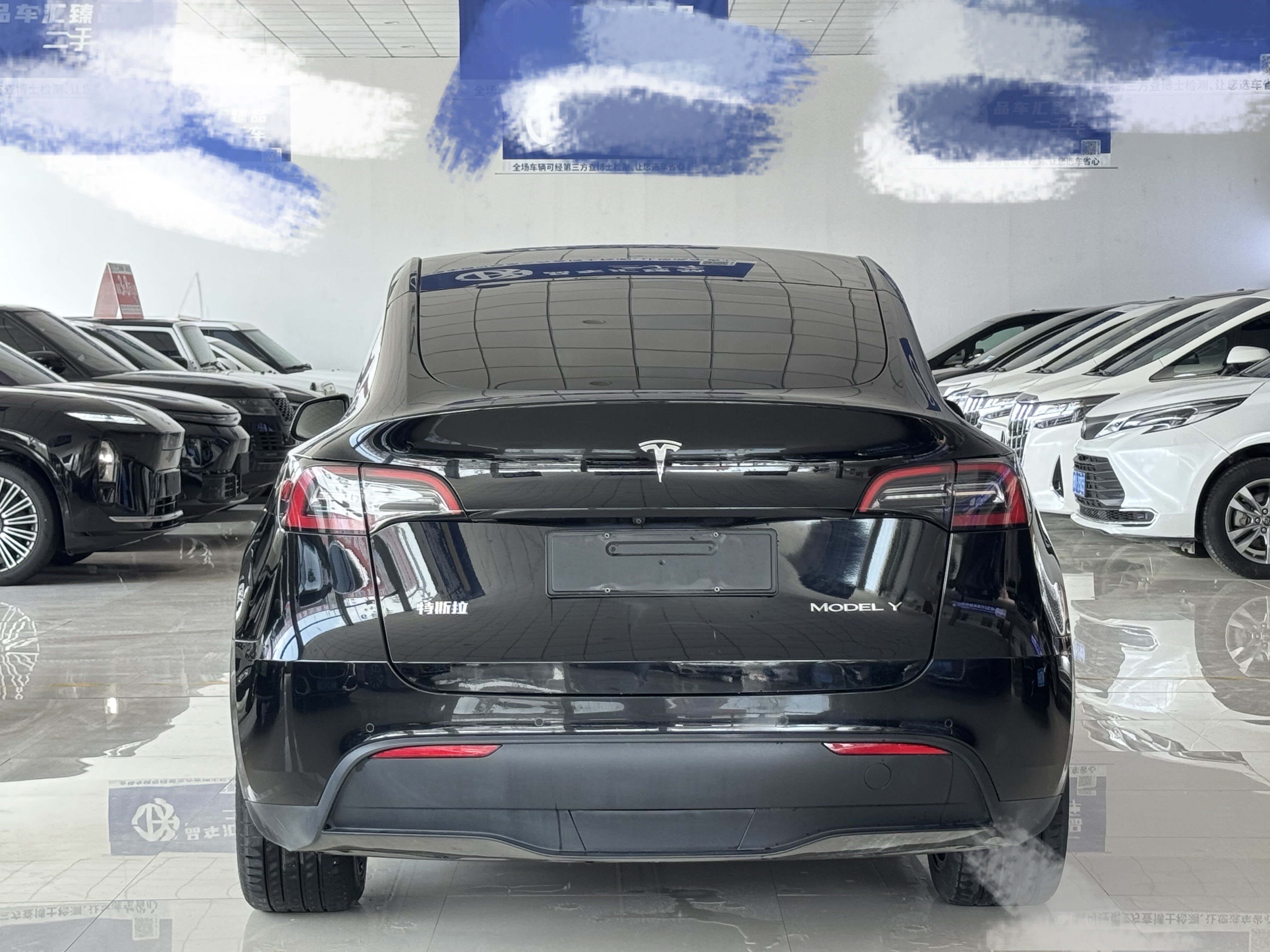 Tesla Model Y 2024 #8 Tesla Model Y 2024 car image #8