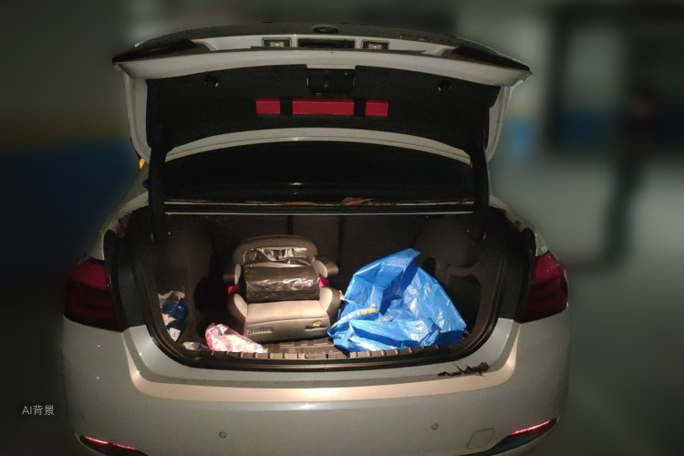 BMW 3 Series 2017 #21 BMW 3 Series 2017 car image #21