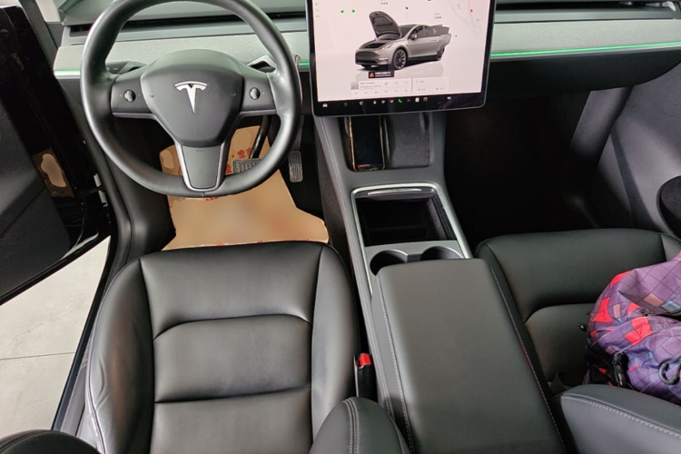 Tesla Model Y 2023 car image #10