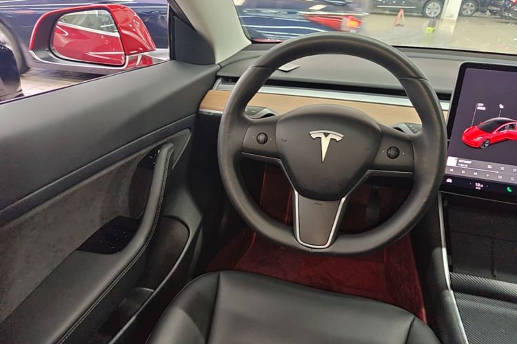Tesla Model 3 2020 immagine di auto #11