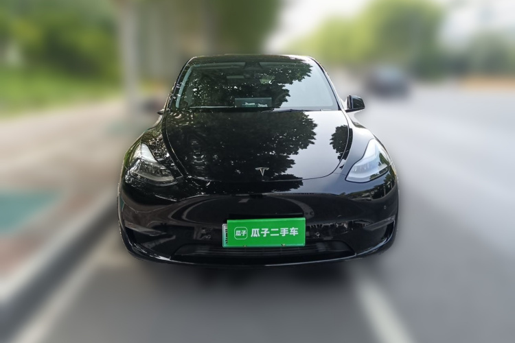 Tesla Model Y 2021 #3 Tesla Model Y 2021 car image #3