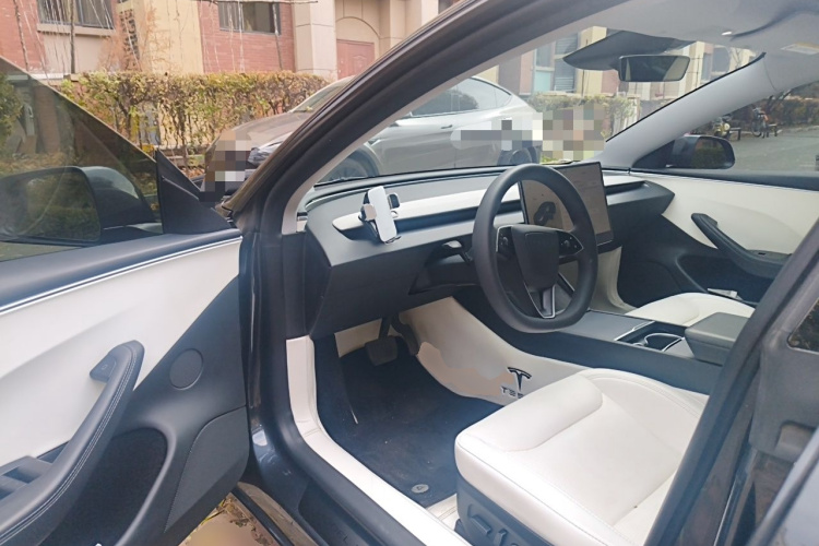 Tesla Model 3 2024 imagem de carro #9