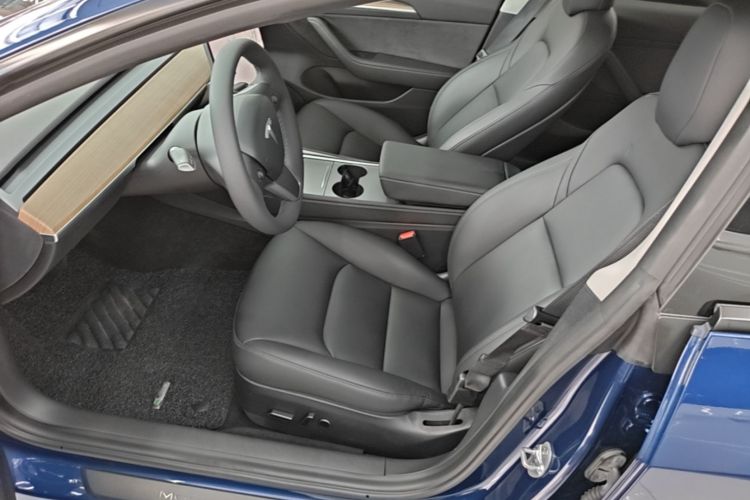 Tesla Model 3 2021 car image #15