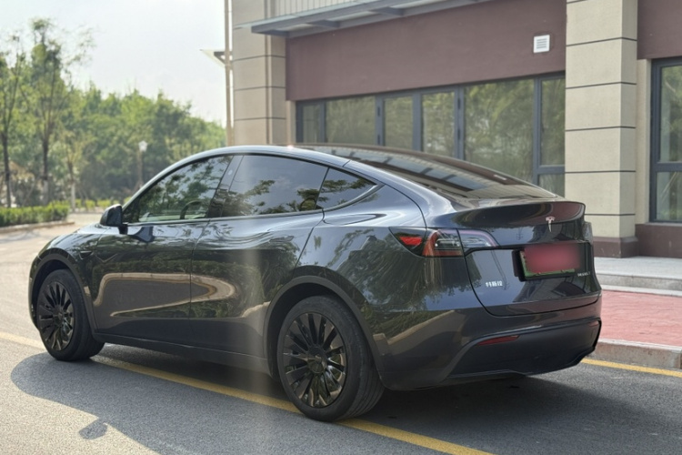Tesla Model Y 2025 car image #7