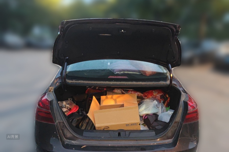 GEELY Emgrand 2019 immagine di auto #21