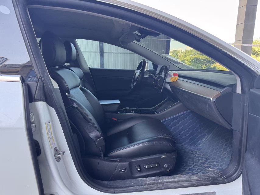 Tesla Model 3 2020 immagine di auto #5