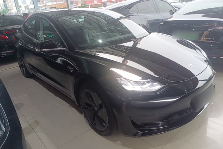 Tesla Model 3 2020 car image #4
