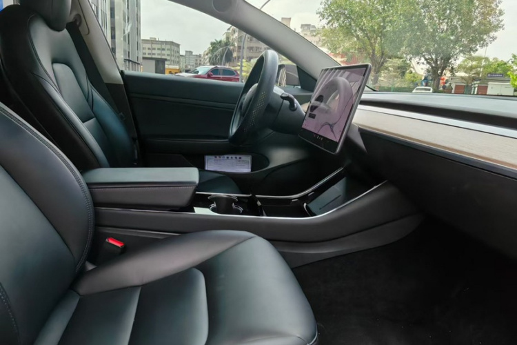 Tesla Model 3 2020 #11 Tesla Model 3 2020 immagine di auto #11