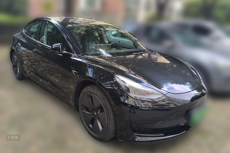Tesla Model 3 2022 #4 Tesla Model 3 2022 صورة سيارة #4
