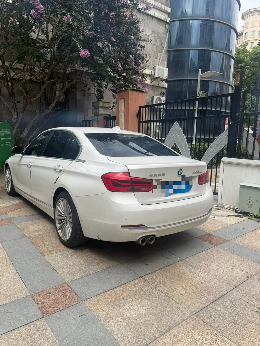 BMW 3 Series 2018 car image #9