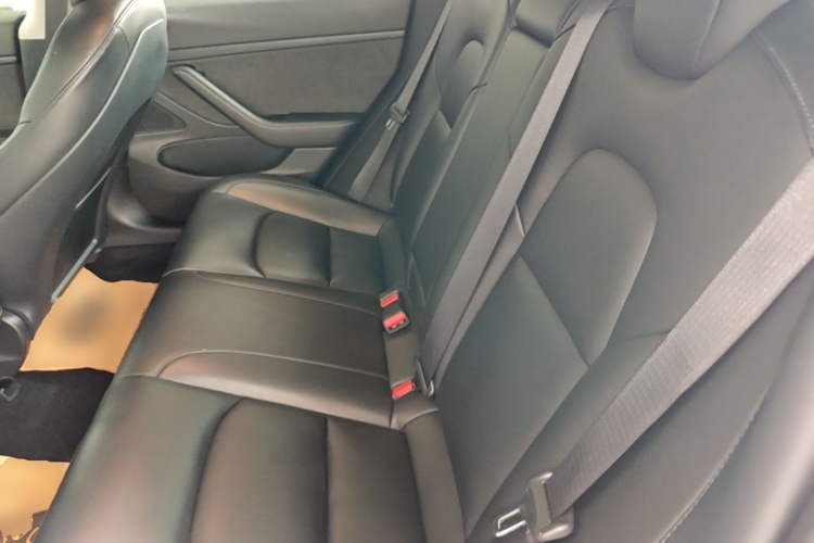 Tesla Model 3 2020 car image #17