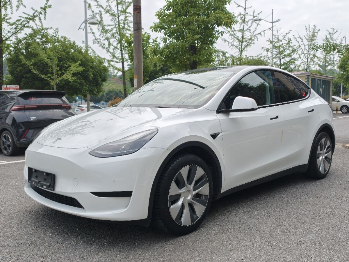Tesla Model Y 2022 car image 