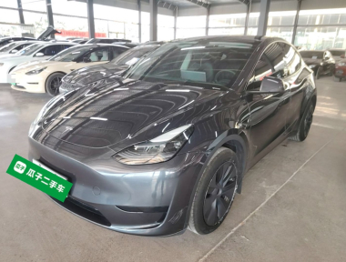 Tesla Model Y 2024 Tesla Model Y 2024 car image