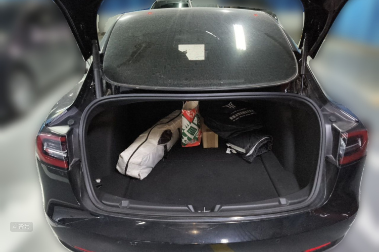 Tesla Model 3 2021 car image #21