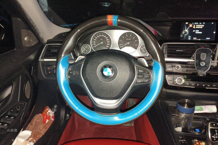 BMW 3 Series 2016 car image #12