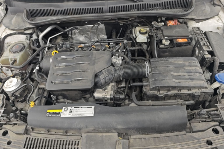 Volkswagen Polo 2022 immagine di auto #20
