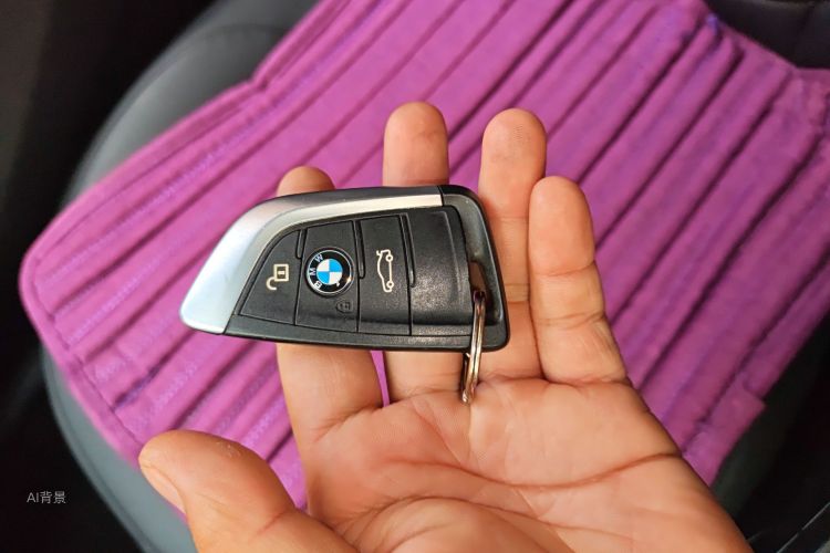 BMW X1 2017 imagen de coche #10