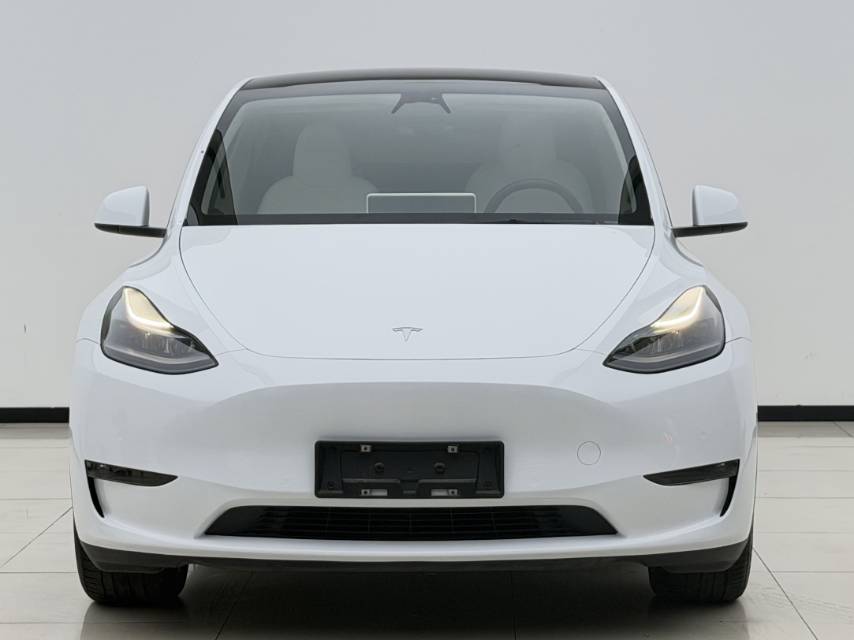 Tesla Model Y 2023 #2 Tesla Model Y 2023 صورة سيارة #2