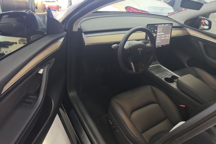Tesla Model Y 2021 car image #12