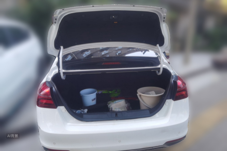 GEELY Emgrand 2019 imagem de carro #21