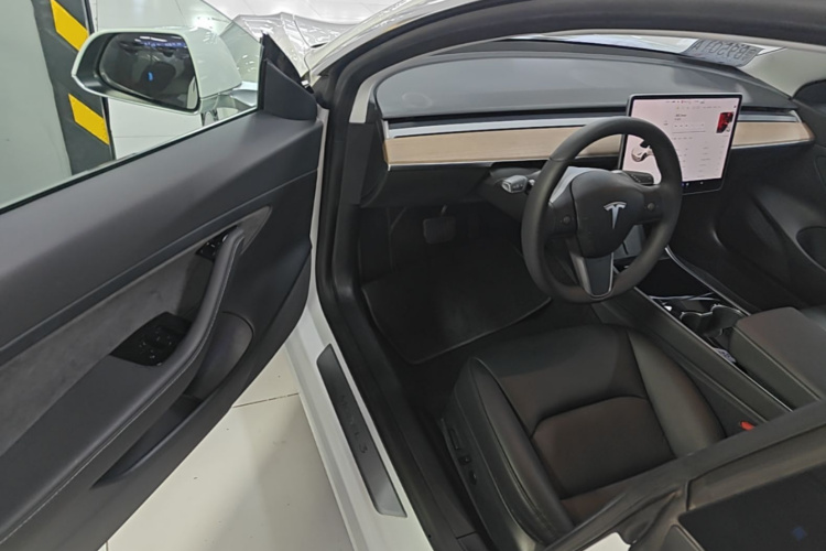 Tesla Model 3 2020 car image #12