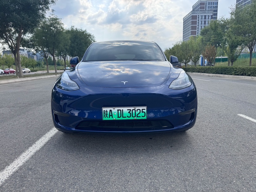 Tesla Model Y 2022 car image #2