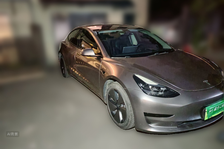 Tesla Model 3 2022 car image #4