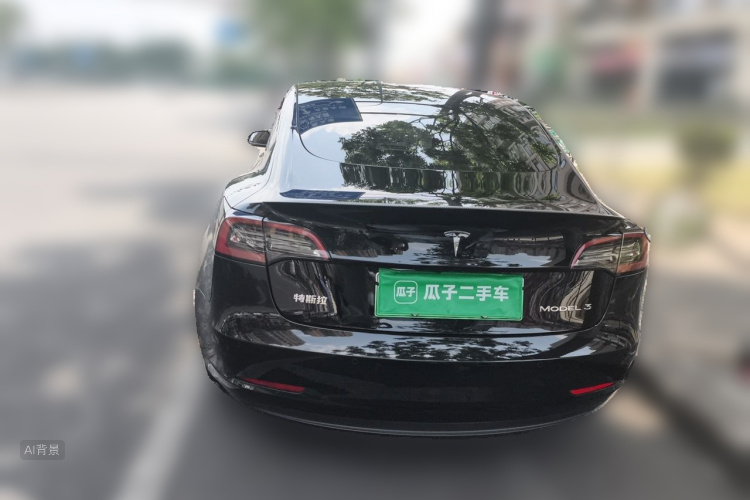 Tesla Model 3 2022 immagine di auto #6