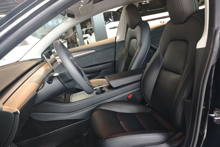 Tesla Model 3 2023 car image #15