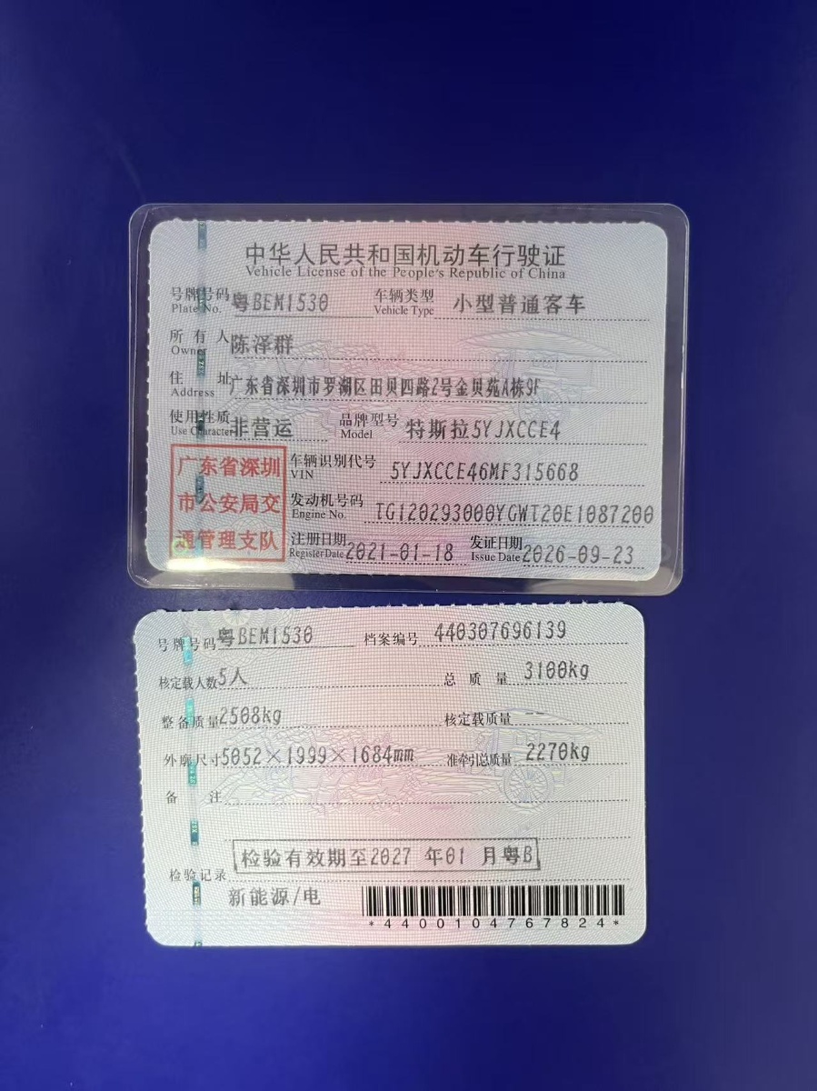 Tesla Model X 2021 car image #12