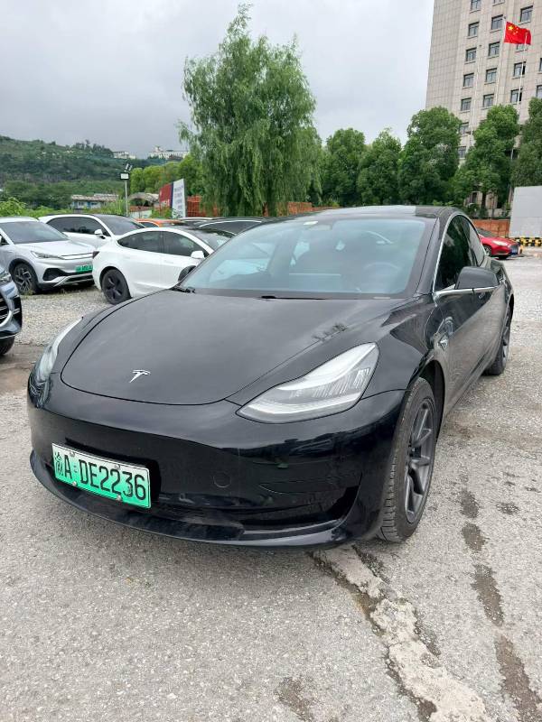 Tesla Model 3 2020 Tesla Model 3 2020 car image