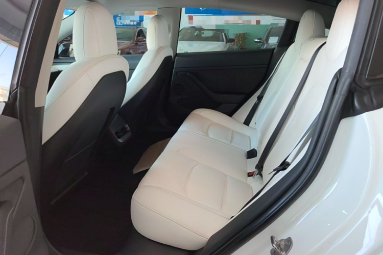 Tesla Model 3 2021 #13 Tesla Model 3 2021 car image #13