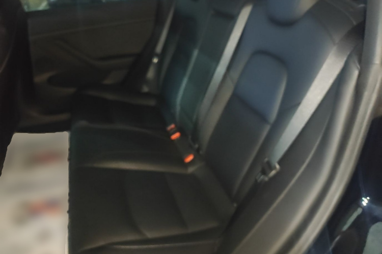 Tesla Model 3 2022 car image #17