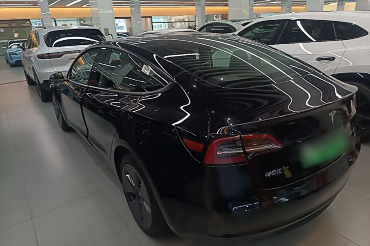 Tesla Model 3 2021 #5 Tesla Model 3 2021 car image #5